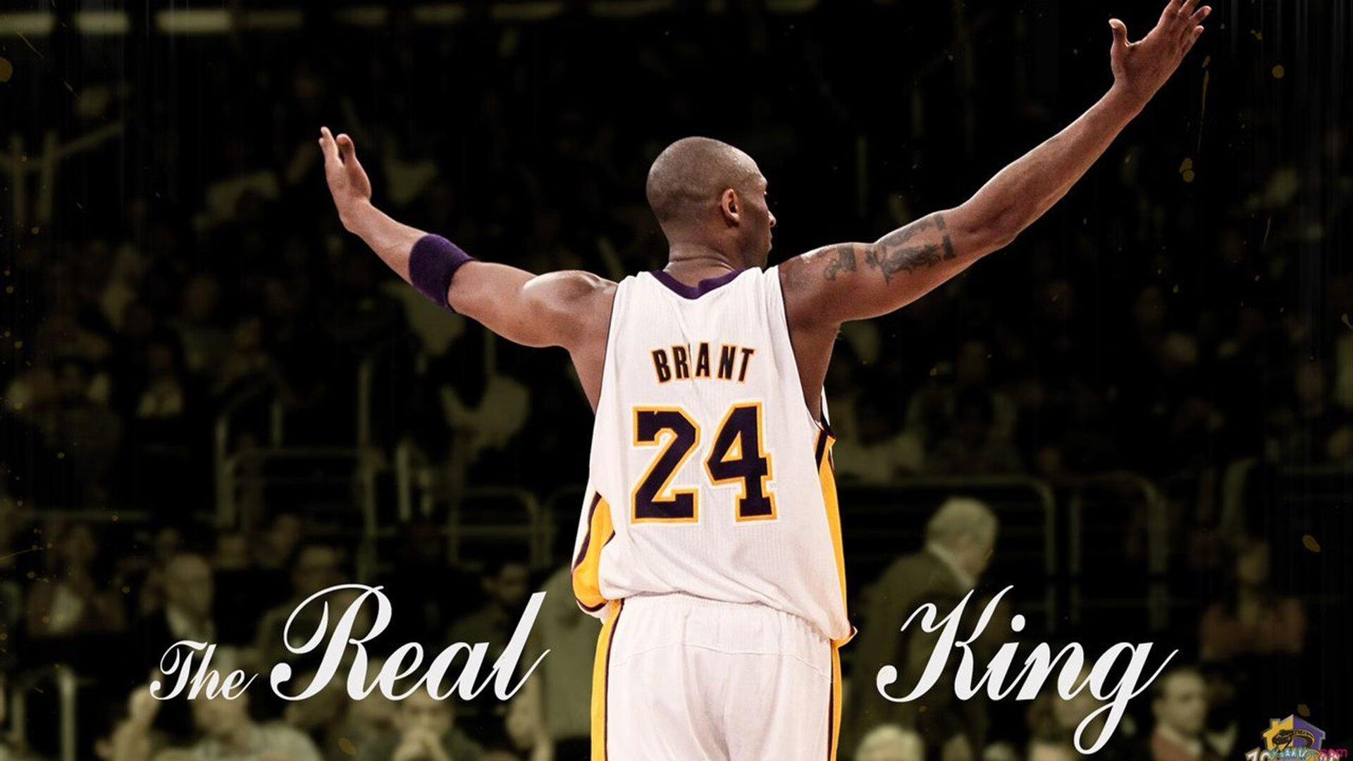 科维托娃回归赛场，比分优势明显首场状态亮眼，C9观众沸腾！